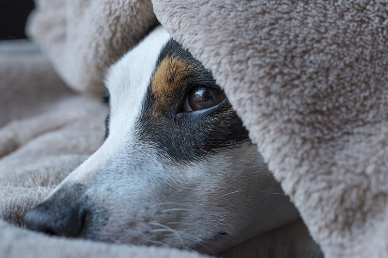 Calm Bedtime Rituals