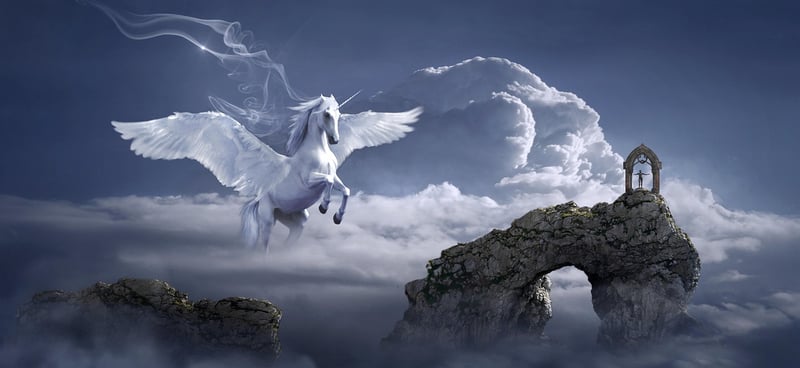 Dream Adventure